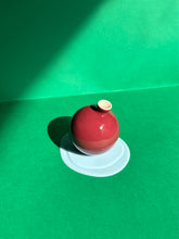 Load image into Gallery viewer, BOLVAASJE cherry + lightblue